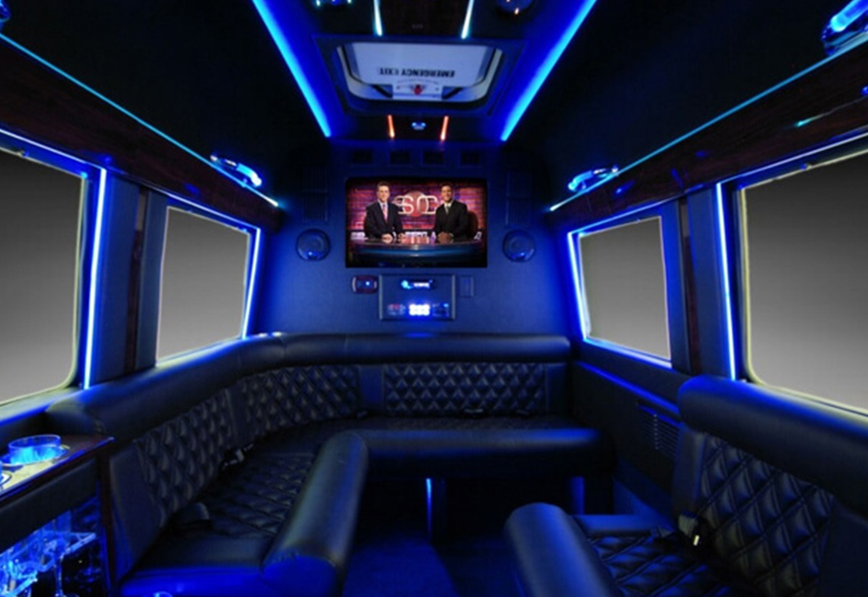 Deluxe van interiors